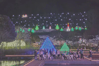 Ashikaga Flower Park winter LED
