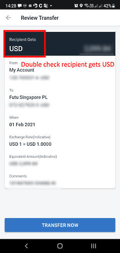 DBS mobile app screenshot: double check recipient gets USD in 'Review Transfer' screen